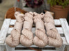 Pendle Aran in Driftwood (Dyelot 210926)