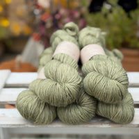 Brimham DK in Hedgerow (Dyelot 090926)