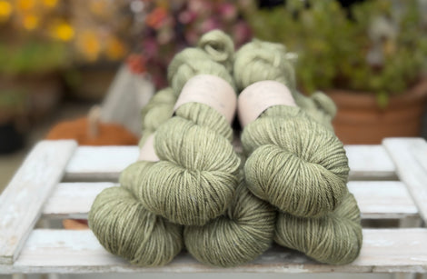 Brimham DK in Hedgerow (Dyelot 090926)