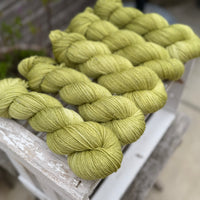 Silverdale 4ply in Fern (Dyelot 100926)