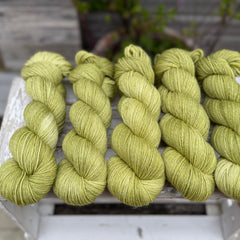 Silverdale 4ply in Fern (Dyelot 100926)