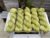 Silverdale 4ply in Fern (Dyelot 100926)