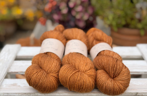 Brimham 4ply in Twig (Dyelot 220926)