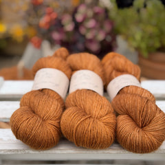 Brimham 4ply in Twig (Dyelot 220926)