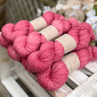 Silverdale DK in Dianthus (Dyelot 030826)