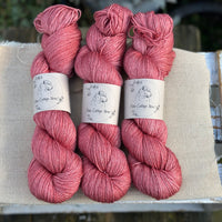 Titus 4ply in Red Goosefoot (Dyelot 030226)
