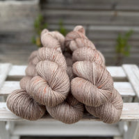 Silverdale 4ply in Pumpkin Seeds (Dyelot 100926)