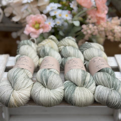 Brimham 4ply in Dyepot Luck (Dyelot 230726)