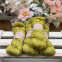 Titus 4ply in Fern (Dyelot 220726)