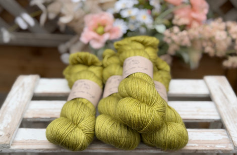 Titus 4ply in Fern (Dyelot 220726)