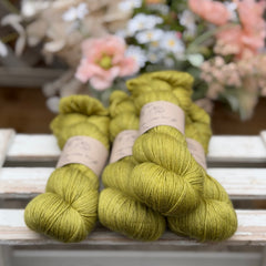 Titus 4ply in Fern (Dyelot 220726)