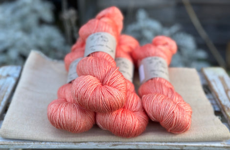 Titus 4ply in Rosehip (Dyelot 030226)