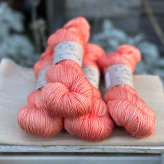 Titus 4ply in Rosehip (Dyelot 030226)