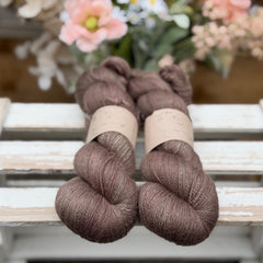 Titus Lace in Compost (Dyelot 240726)