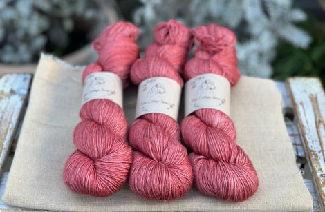 Titus 4ply in Red Goosefoot (Dyelot 030226)