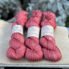 Titus 4ply in Red Goosefoot (Dyelot 030226)