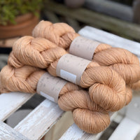 Titus 4ply in Falling Leaves (Dyelot 080926)