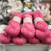 Silverdale DK in Dianthus (Dyelot 030826)