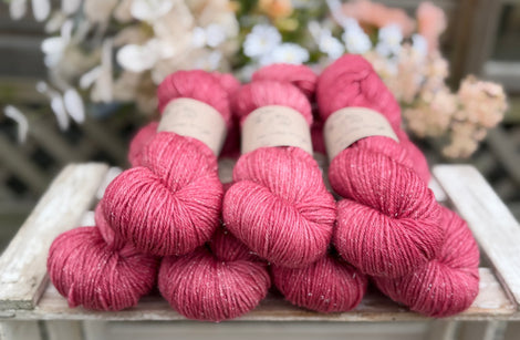 Silverdale DK in Dianthus (Dyelot 030826)