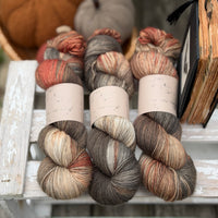 Brimham 4ply in Spellbound (Dyelot 220926)