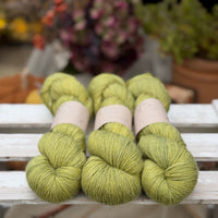 Titus 4ply in Fern (Dyelot 080926)