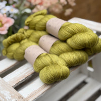 Titus 4ply in Fern (Dyelot 220726)