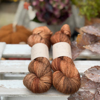 Brimham 4ply in Leaf Piles (Dyelot 220926)