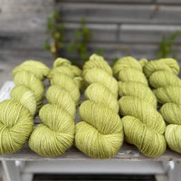 Silverdale 4ply in Fern (Dyelot 100926)