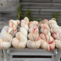 Silverdale 4ply in Dyepot Luck (Dyelot 100926)