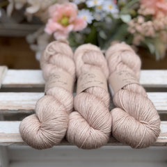 Titus 4ply in Driftwood (Dyelot 220726)