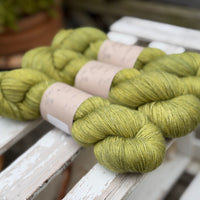Titus 4ply in Fern (Dyelot 080926)