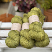 Brimham 4ply in Woodland (Dyelot 220926)