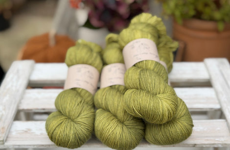 Brimham 4ply in Woodland (Dyelot 220926)
