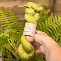 Titus 4ply in Fern (Dyelot 220726)