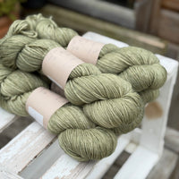 Brimham DK in Hedgerow (Dyelot 090926)