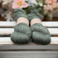 Titus Lace in Cedar (Dyelot 240726)