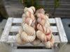 Silverdale 4ply in Dyepot Luck (Dyelot 100926)