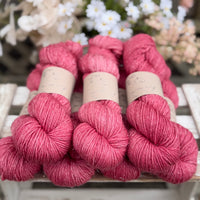 Silverdale DK in Dianthus (Dyelot 030826)