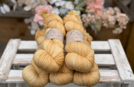 Brimham 4ply in Sand (Dyelot 230726)