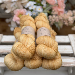 Brimham 4ply in Sand (Dyelot 230726)