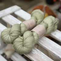 Titus 4ply in Coppice (Dyelot 080926)