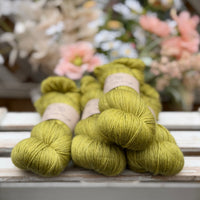 Titus 4ply in Fern (Dyelot 220726)