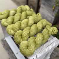Silverdale 4ply in Fern (Dyelot 100926)