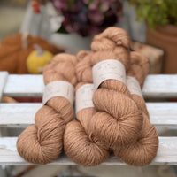 Titus 4ply in Twig (Dyelot 080926)