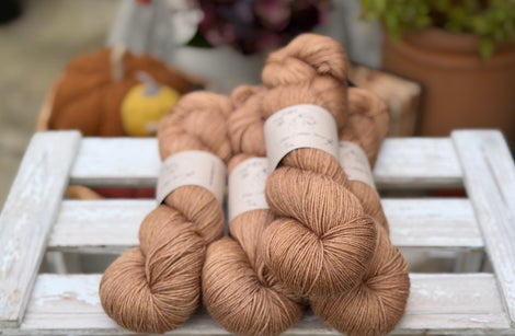Titus 4ply in Twig (Dyelot 080926)