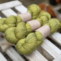 Titus 4ply in Fern (Dyelot 080926)