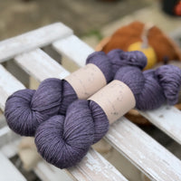 Titus 4ply in Damson (Dyelot 080926)