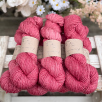 Silverdale DK in Dianthus (Dyelot 030826)