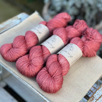 Titus 4ply in Red Goosefoot (Dyelot 030226)