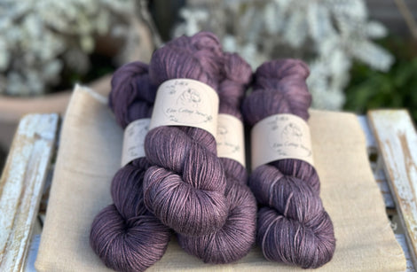 Titus 4ply in Damson (Dyelot 030226)